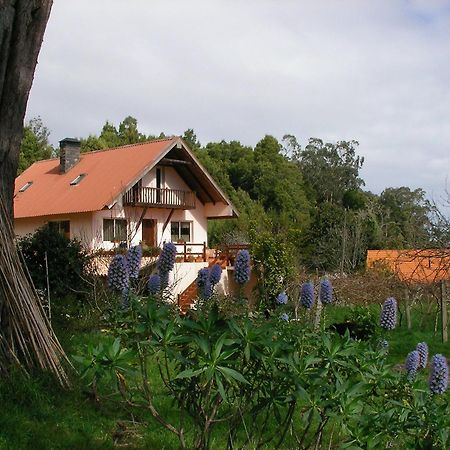Bio Quinta Do Pantano, Agro Turismo Villa Santo Antonio da Serra Exterior foto