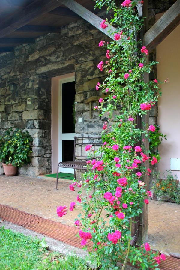 Bio Quinta Do Pantano, Agro Turismo Villa Santo Antonio da Serra Exterior foto