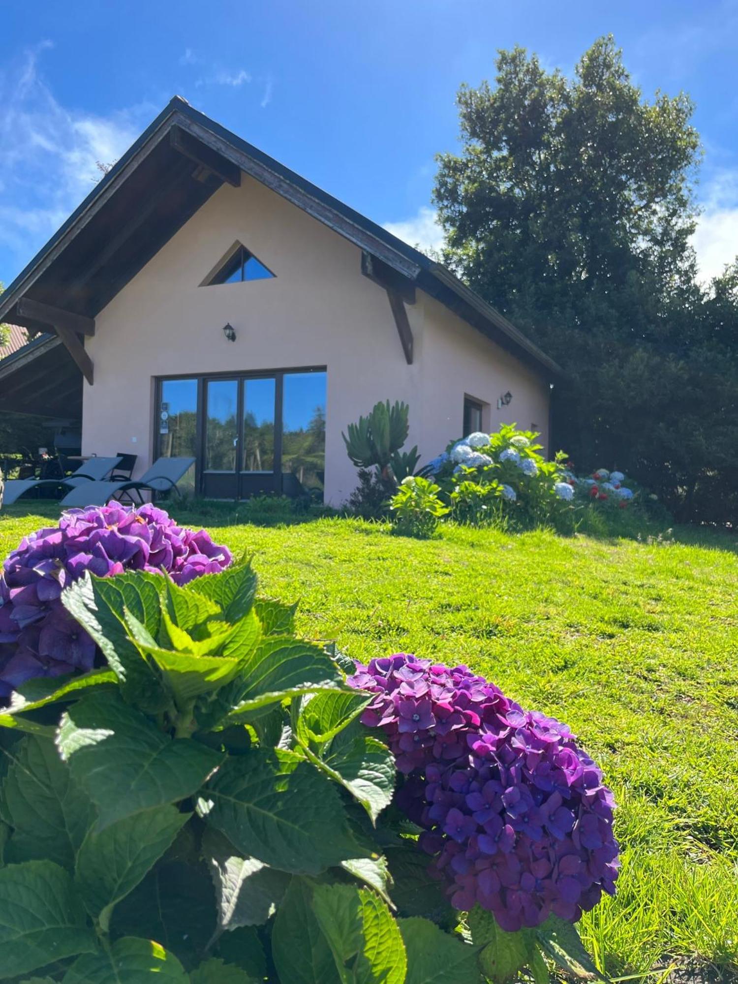 Bio Quinta Do Pantano, Agro Turismo Villa Santo Antonio da Serra Exterior foto