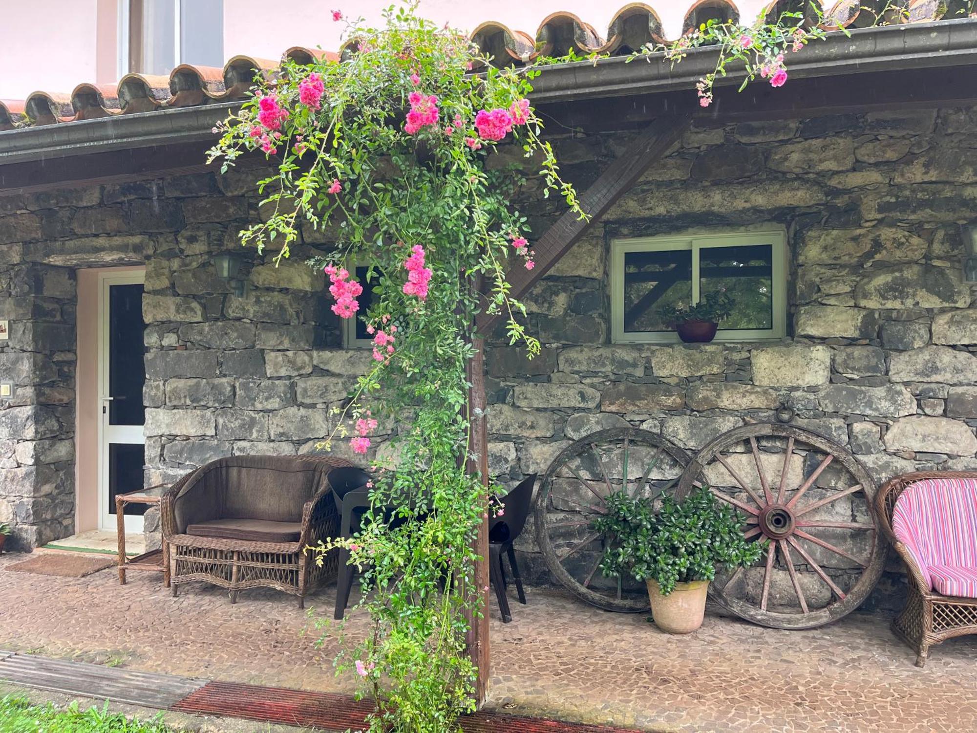 Bio Quinta Do Pantano, Agro Turismo Villa Santo Antonio da Serra Exterior foto