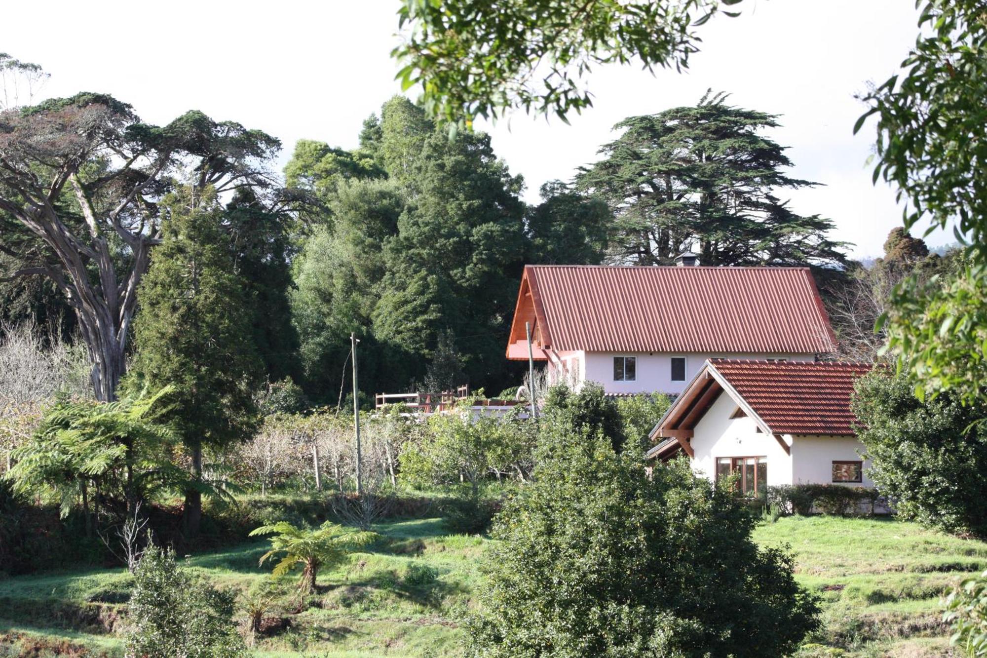 Bio Quinta Do Pantano, Agro Turismo Villa Santo Antonio da Serra Exterior foto